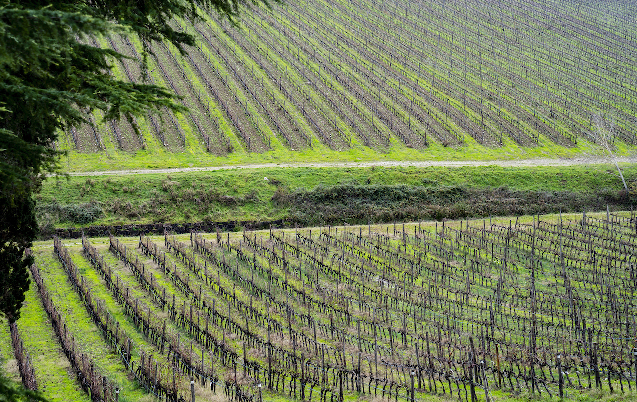 Le Tre Rane, l'Osteria di Ruffino