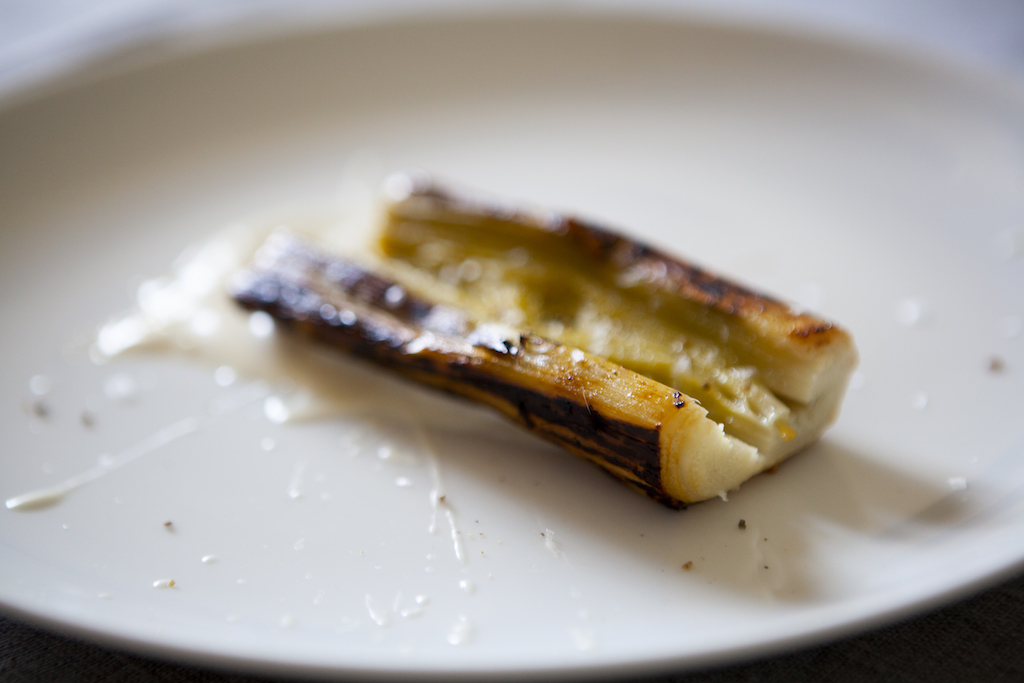 Porro bruciato, tzatziki e olio al porro