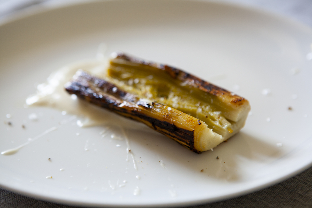 Porro bruciato, tzatziki e olio al porro