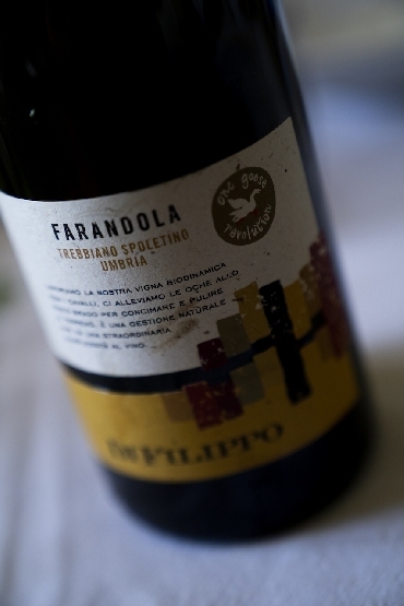 Trebbiano Spoletino Farandola, Di Filippo