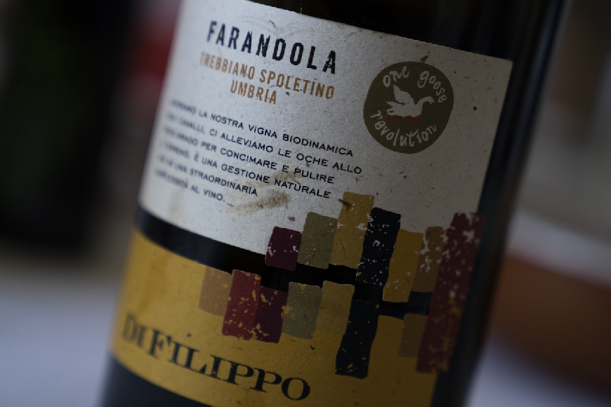 Trebbiano Spoletino Farandola, Di Filippo