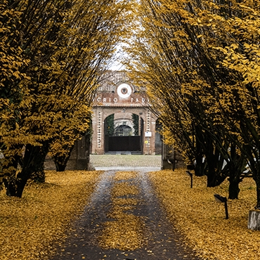 Ostreria Pavesi, piacere Piacenza