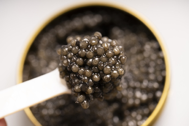 Adamas Caviar
