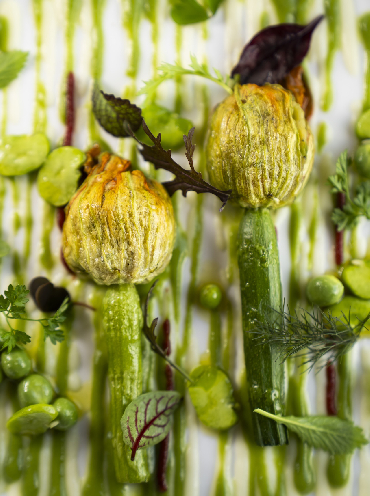 La Palta, la Casa di Isa Mazzocchi